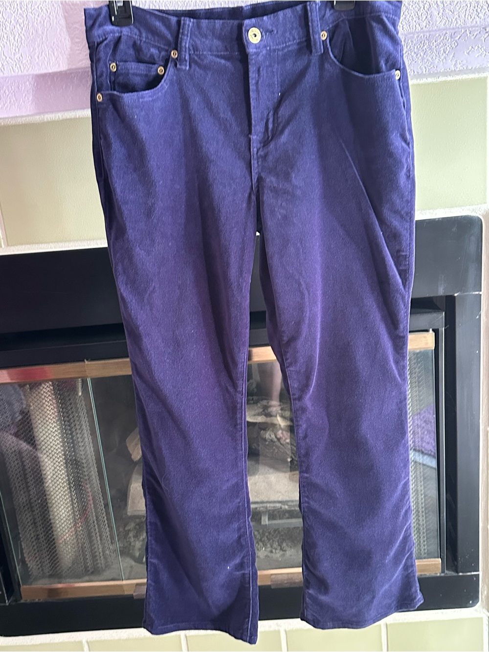 DG3 by Diane Gilman’s Purple Cotton Velvet Pants - Straight Fit (6P)